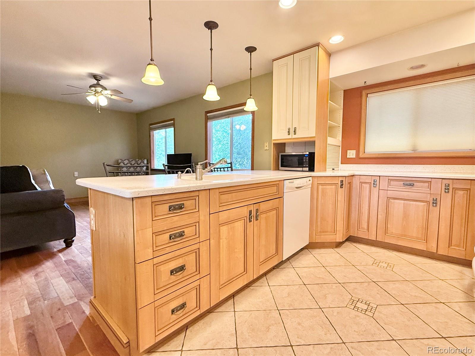 MLS Image #5 for 2023  summerfield drive,castle rock, Colorado