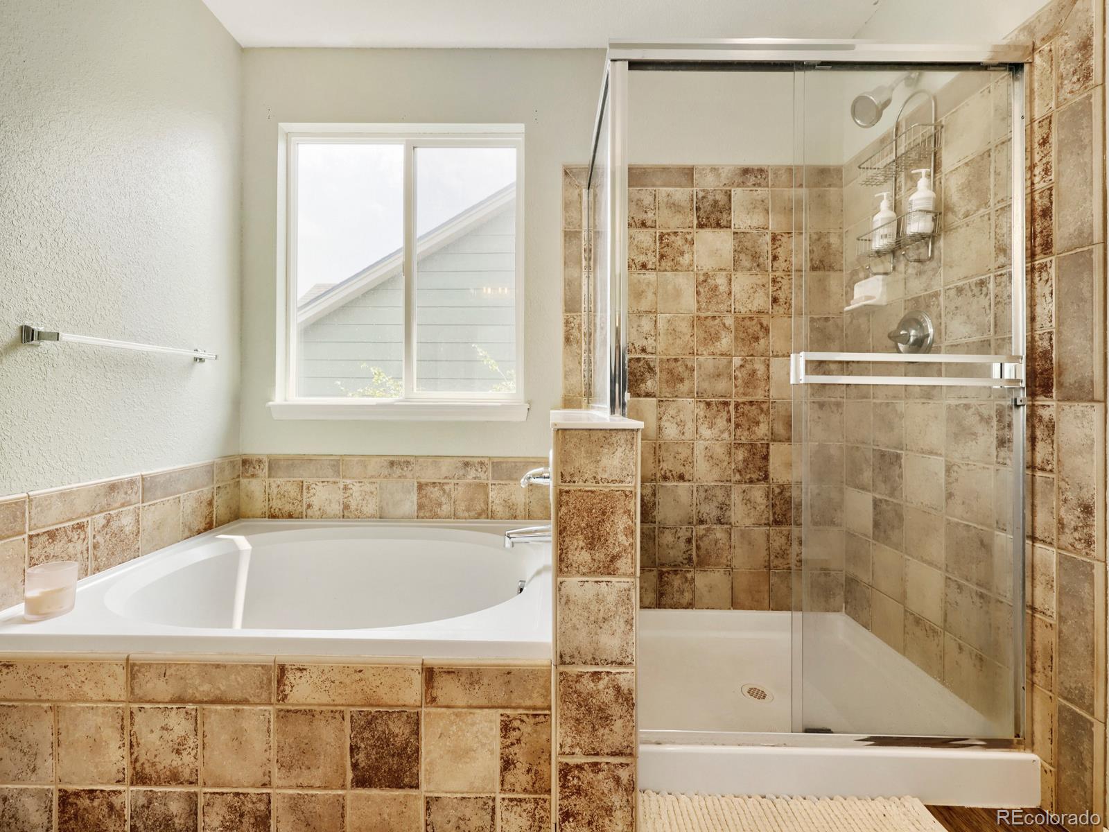MLS Image #16 for 345  cherry street,castle rock, Colorado