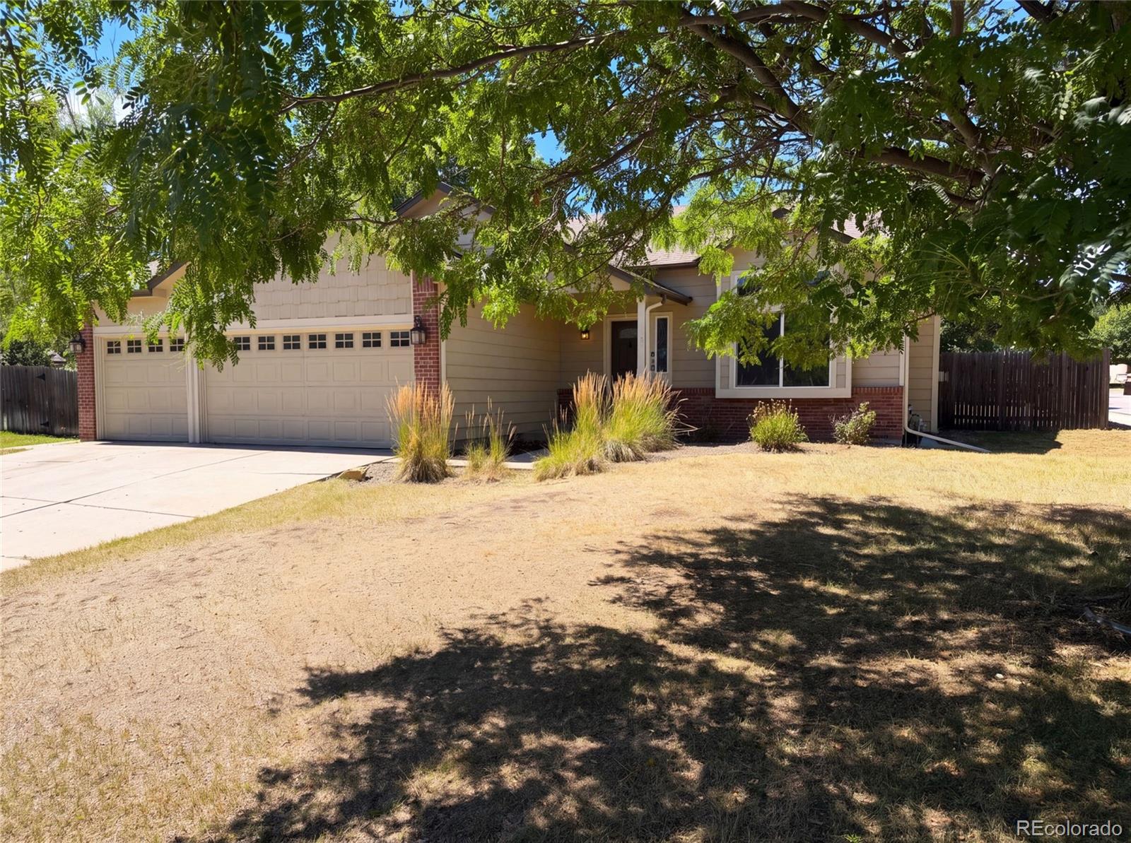 MLS Image #27 for 4408  ashcroft avenue,castle rock, Colorado