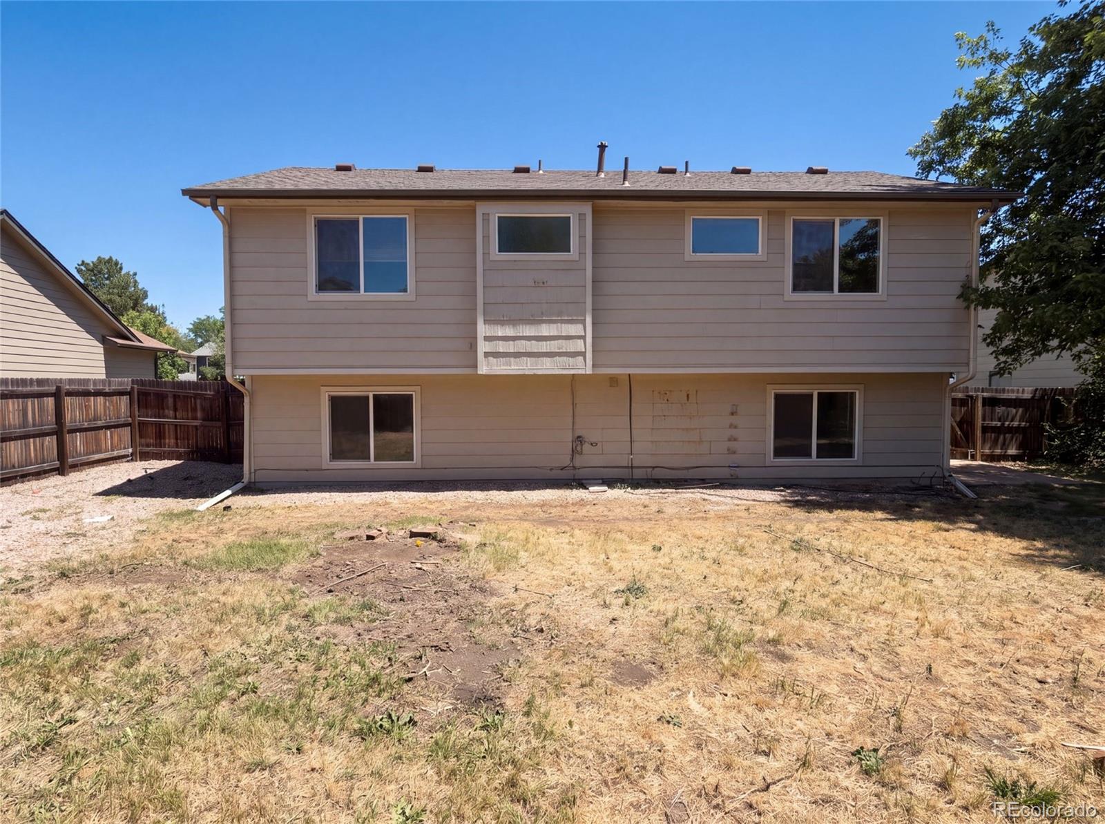 MLS Image #4 for 4408  ashcroft avenue,castle rock, Colorado