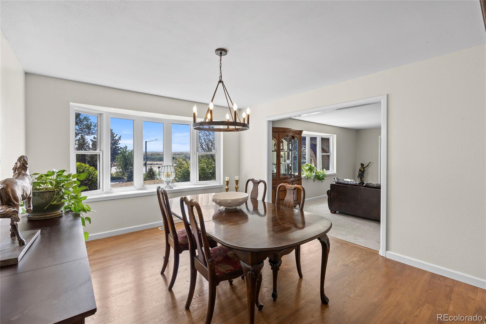 MLS Image #11 for 7781 s pitkin court,centennial, Colorado