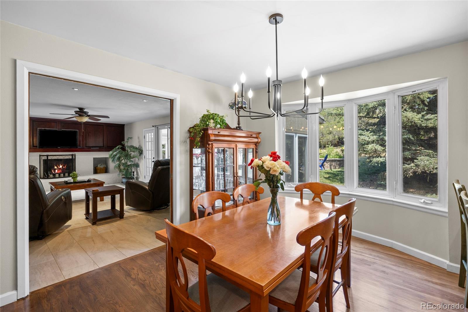 MLS Image #14 for 7781 s pitkin court,centennial, Colorado