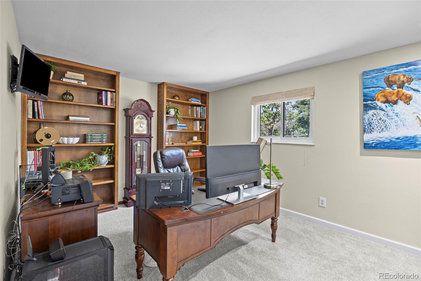 MLS Image #24 for 7781 s pitkin court,centennial, Colorado