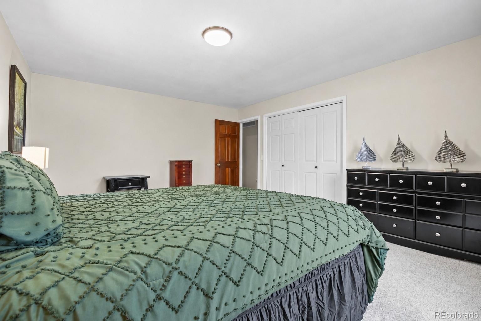 MLS Image #31 for 7781 s pitkin court,centennial, Colorado