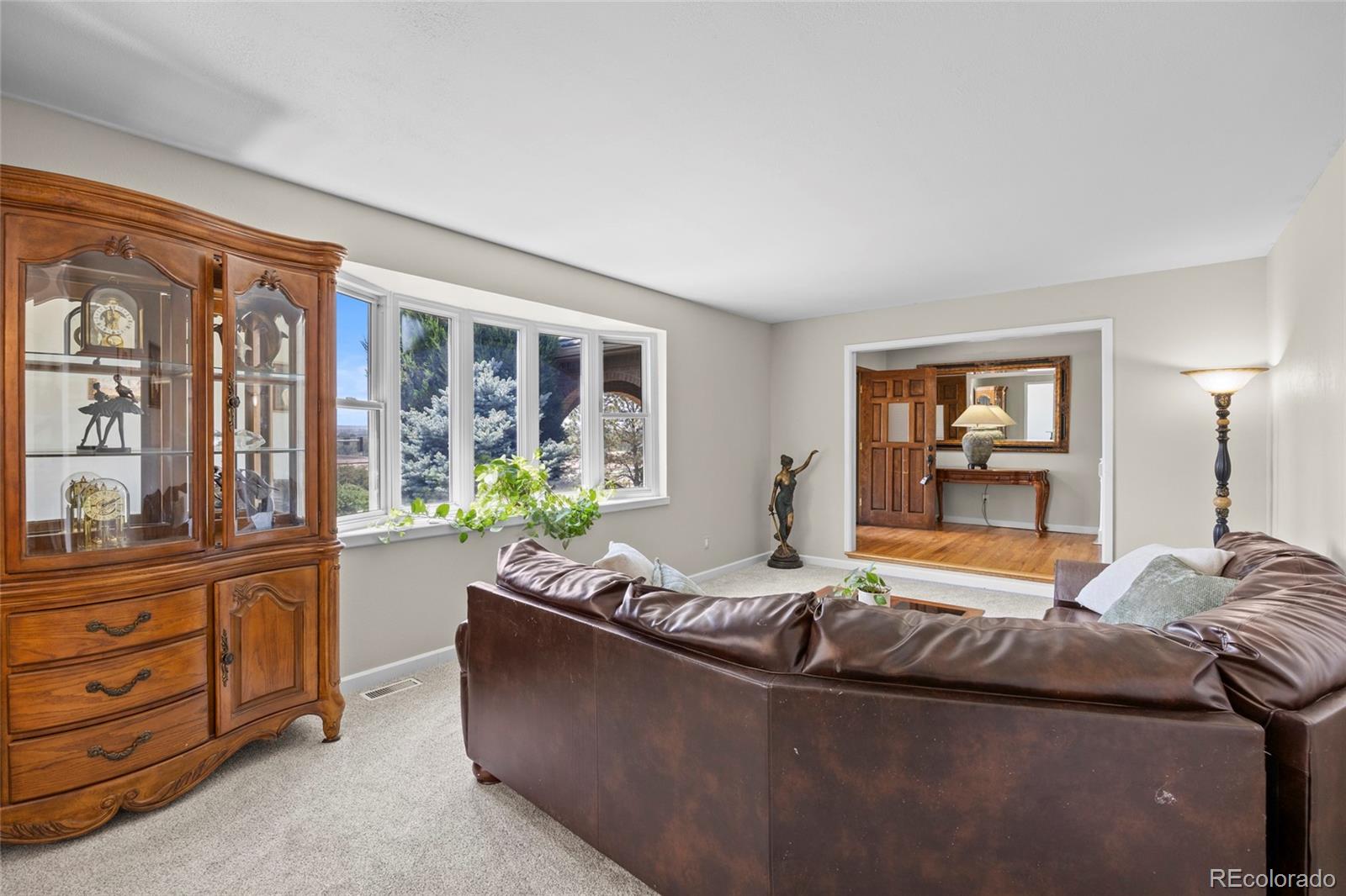 MLS Image #9 for 7781 s pitkin court,centennial, Colorado