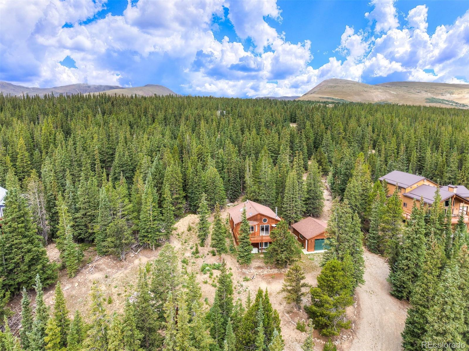 MLS Image #1 for 369  prunes place,fairplay, Colorado