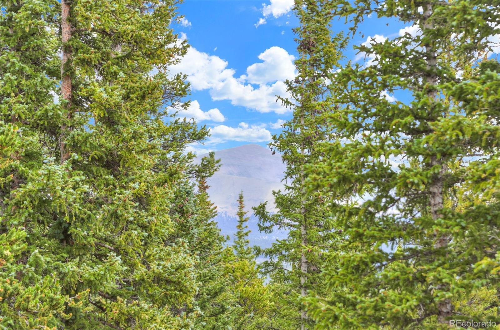 MLS Image #10 for 369  prunes place,fairplay, Colorado