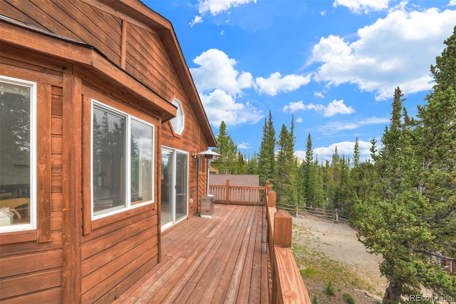MLS Image #11 for 369  prunes place,fairplay, Colorado