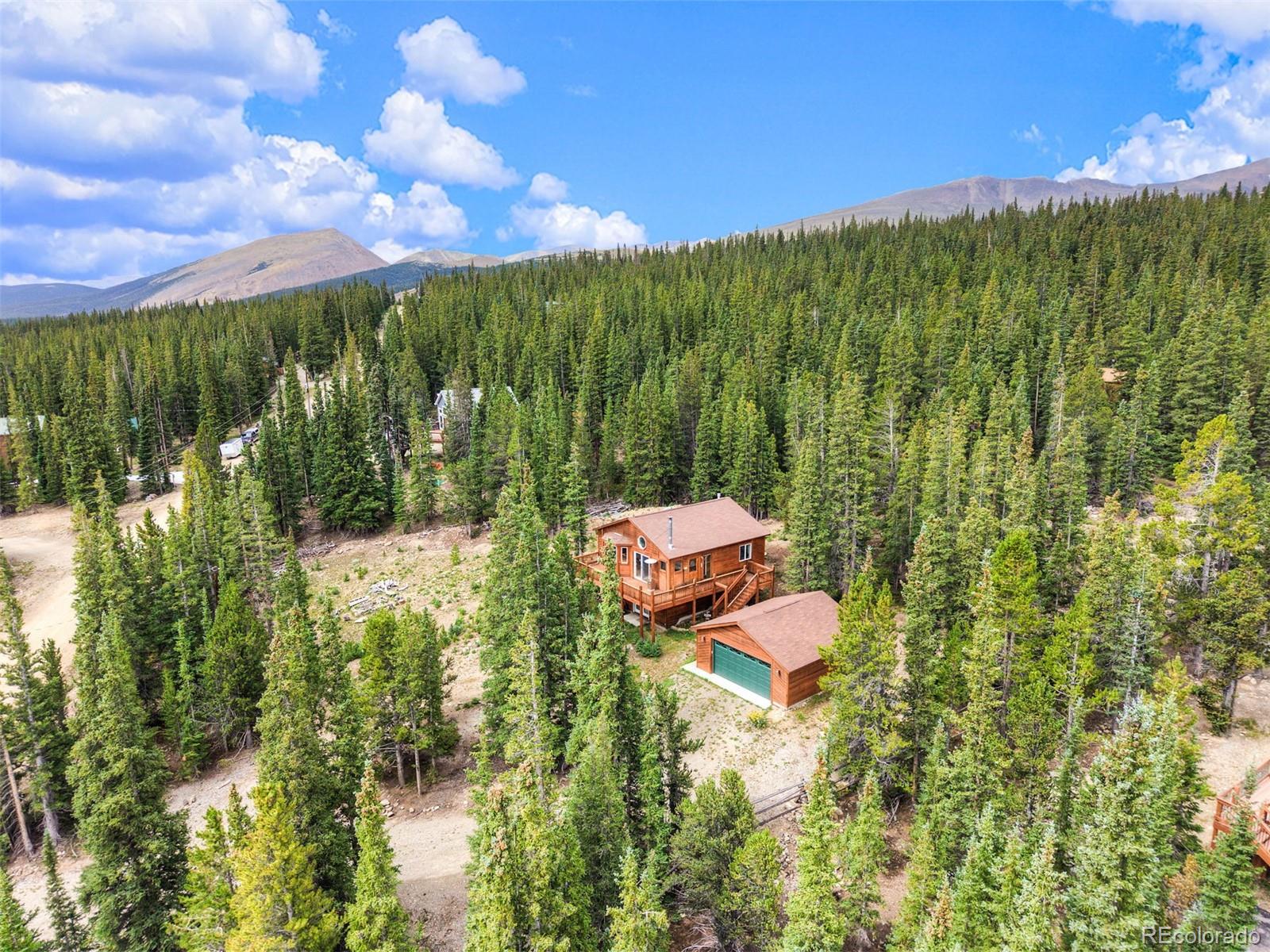 MLS Image #12 for 369  prunes place,fairplay, Colorado