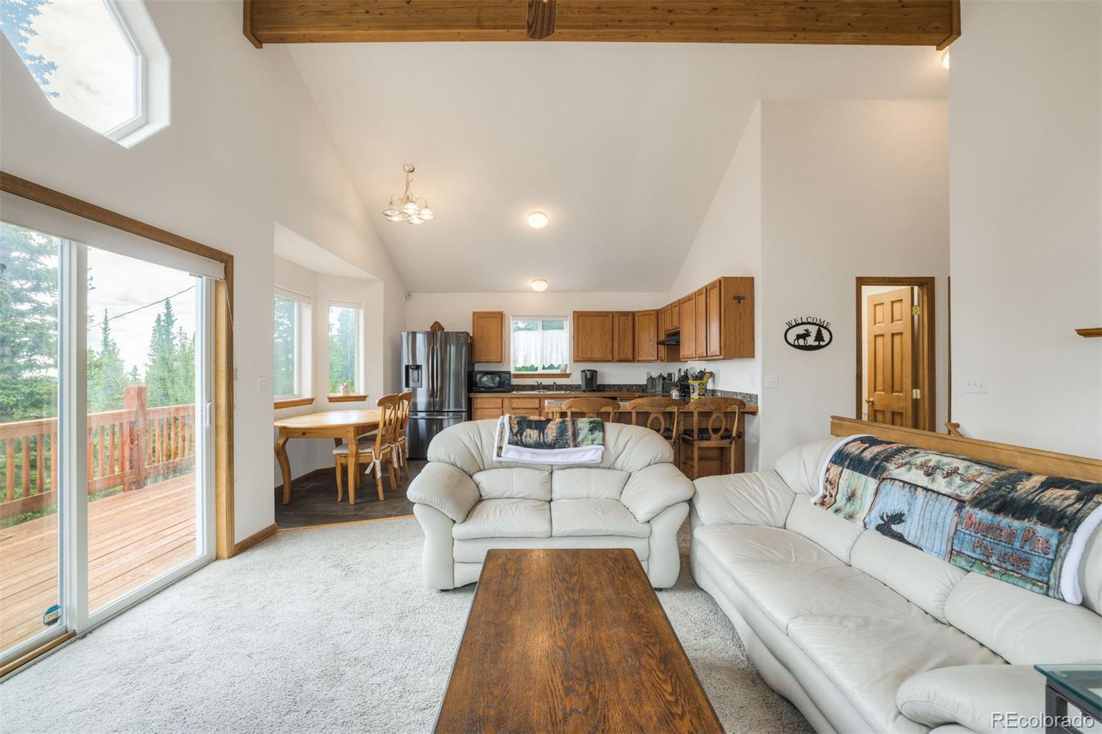 MLS Image #13 for 369  prunes place,fairplay, Colorado