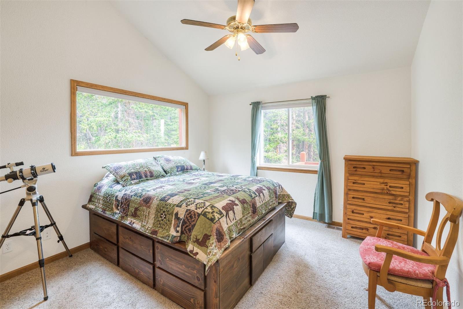 MLS Image #18 for 369  prunes place,fairplay, Colorado