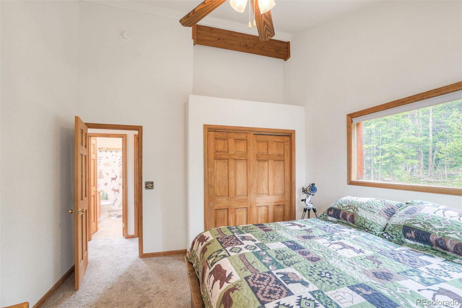 MLS Image #19 for 369  prunes place,fairplay, Colorado