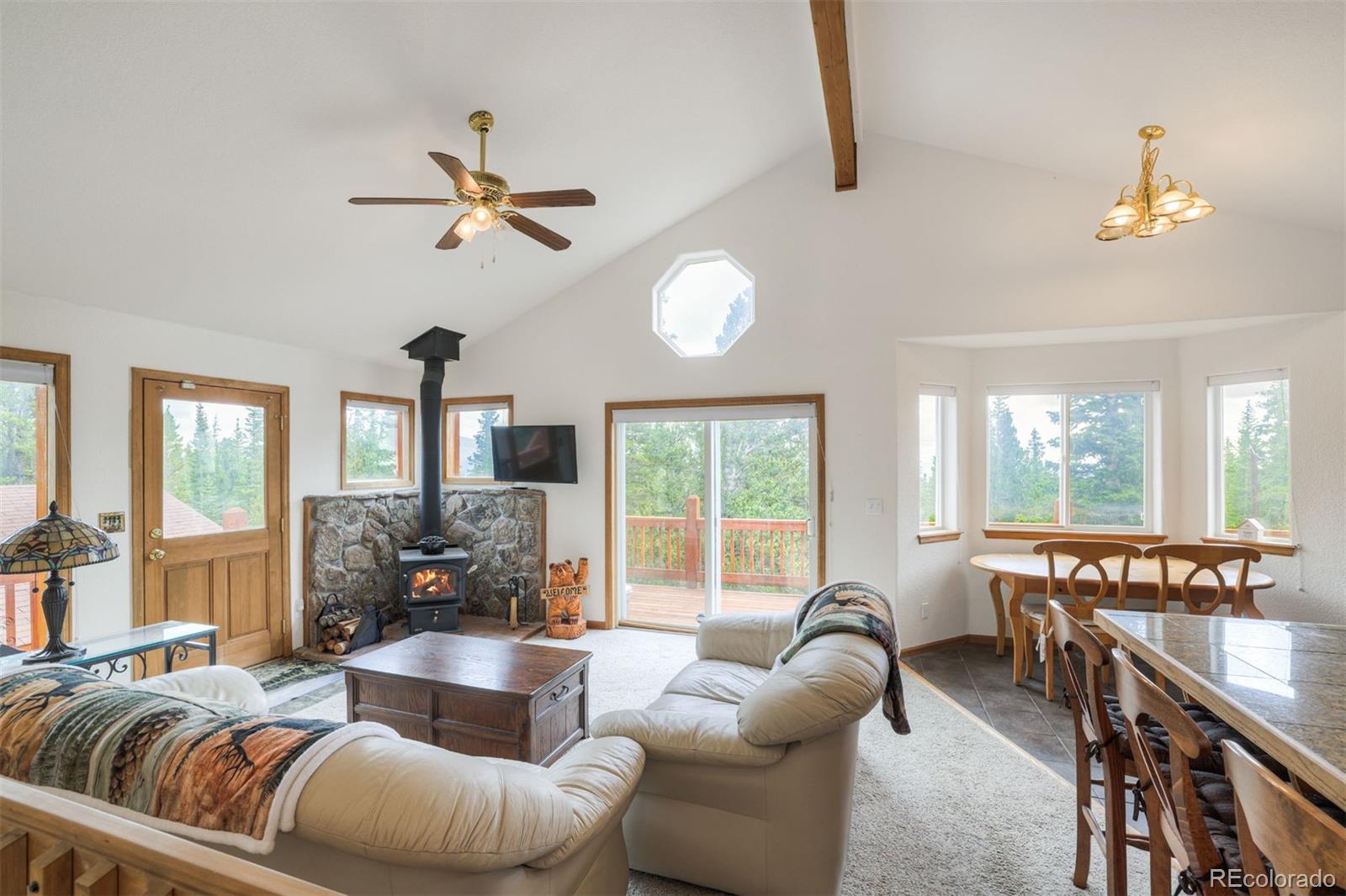 MLS Image #2 for 369  prunes place,fairplay, Colorado