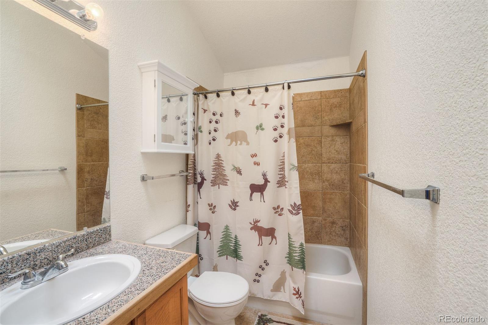 MLS Image #20 for 369  prunes place,fairplay, Colorado
