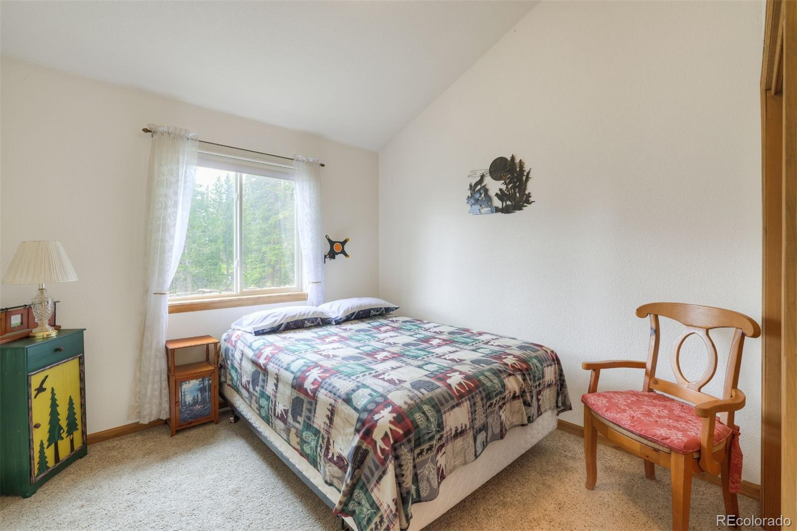 MLS Image #21 for 369  prunes place,fairplay, Colorado