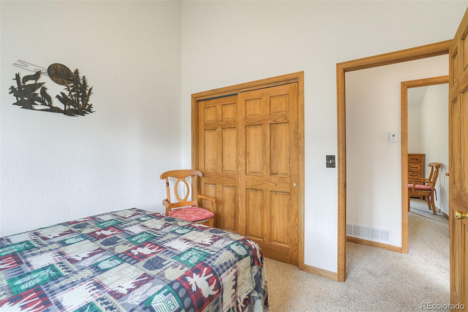 MLS Image #22 for 369  prunes place,fairplay, Colorado