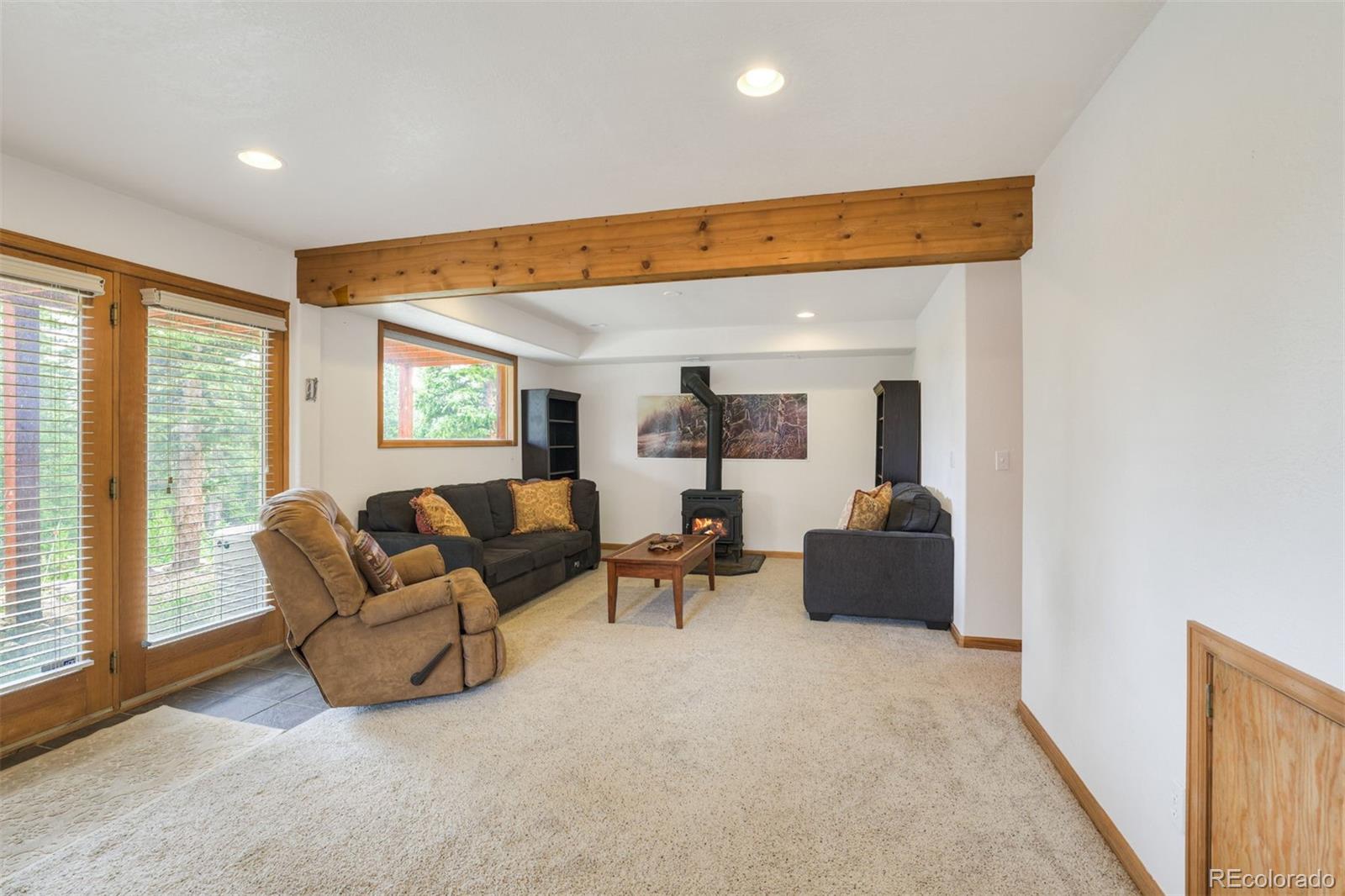 MLS Image #25 for 369  prunes place,fairplay, Colorado