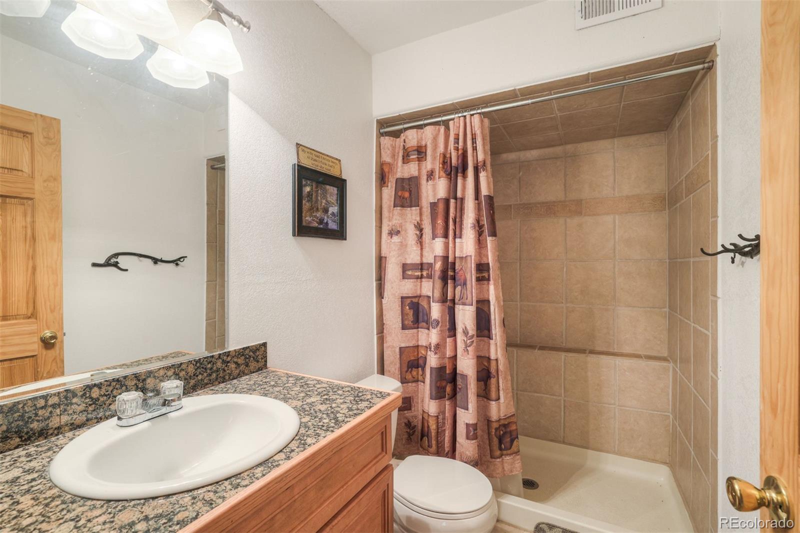 MLS Image #28 for 369  prunes place,fairplay, Colorado