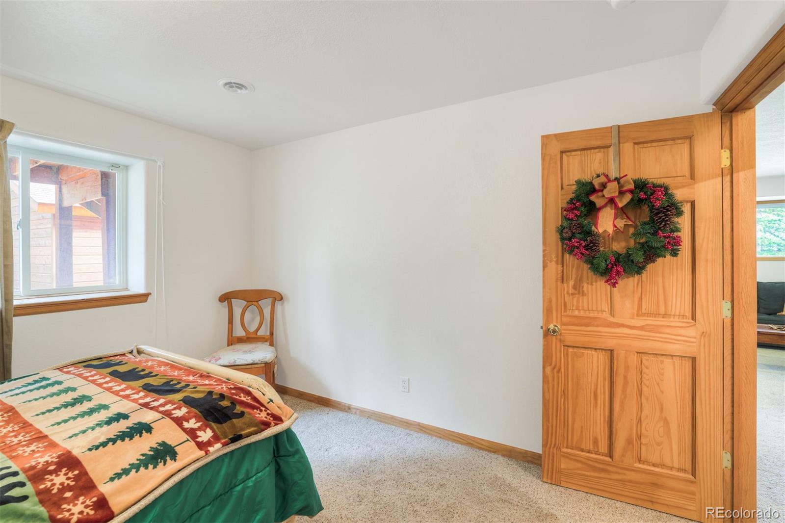 MLS Image #30 for 369  prunes place,fairplay, Colorado