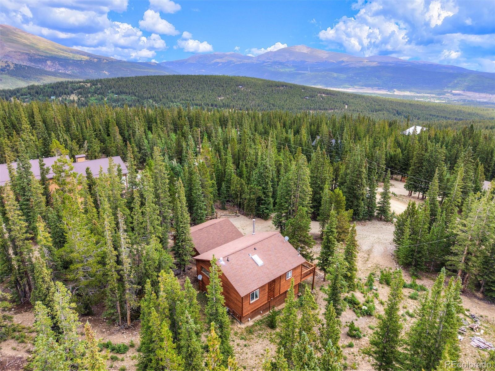 MLS Image #35 for 369  prunes place,fairplay, Colorado