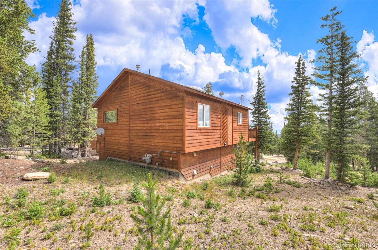MLS Image #36 for 369  prunes place,fairplay, Colorado