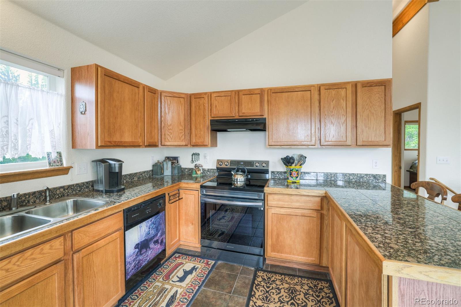 MLS Image #4 for 369  prunes place,fairplay, Colorado
