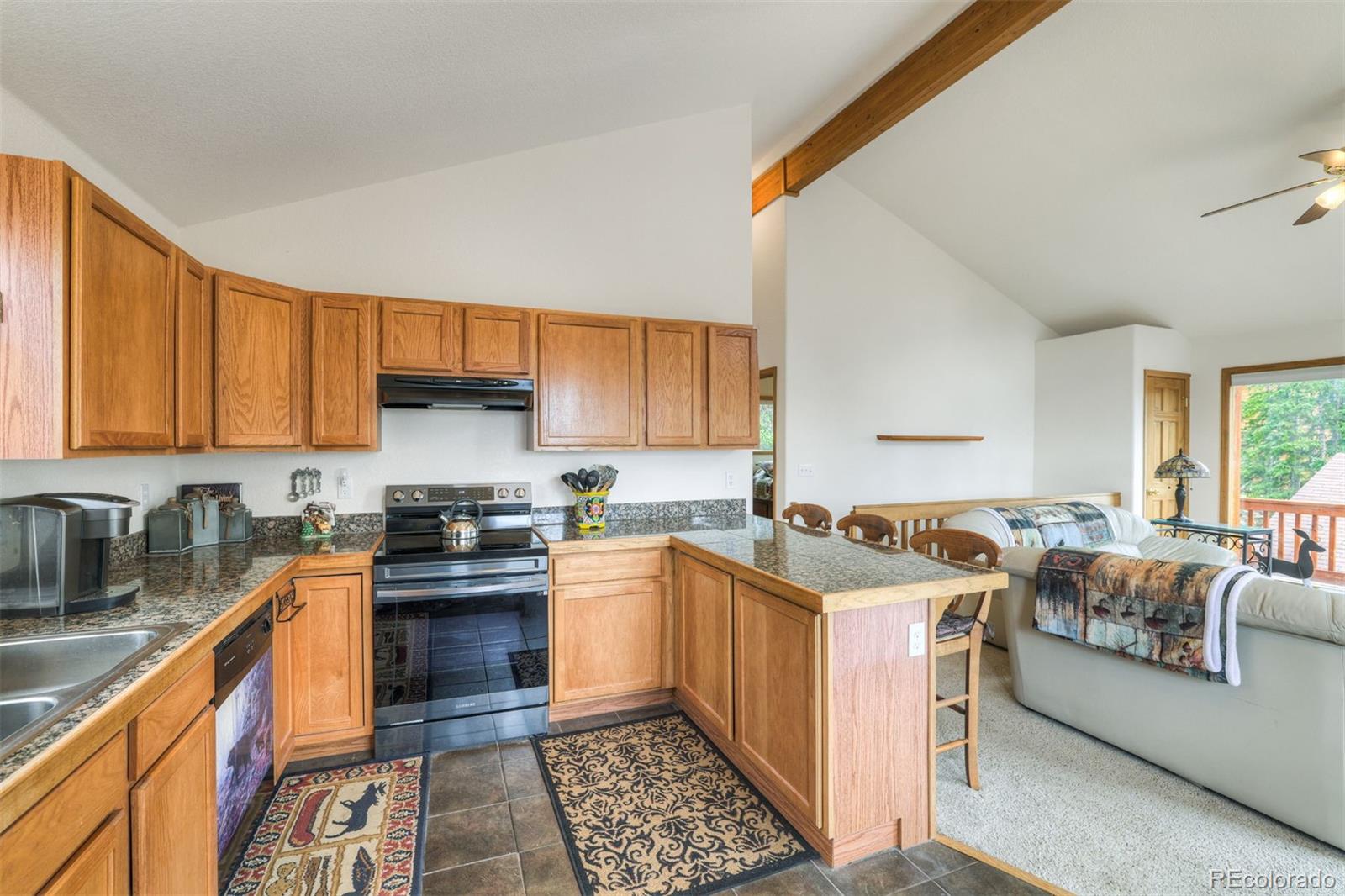 MLS Image #5 for 369  prunes place,fairplay, Colorado
