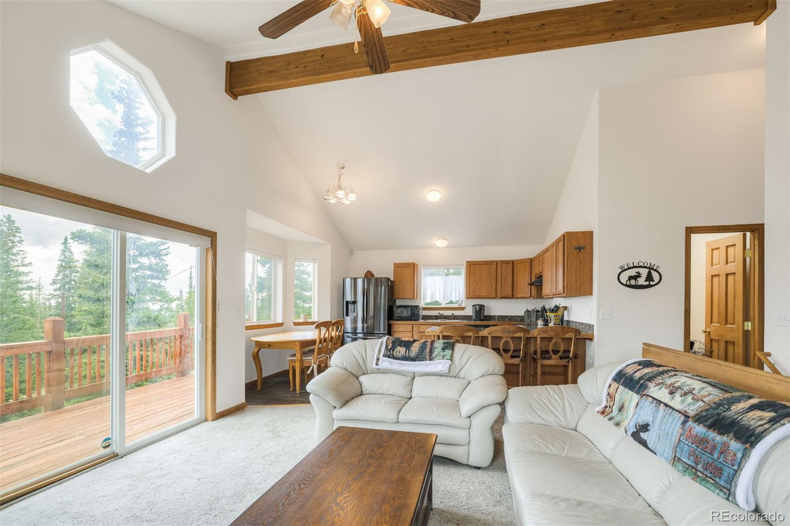 MLS Image #6 for 369  prunes place,fairplay, Colorado