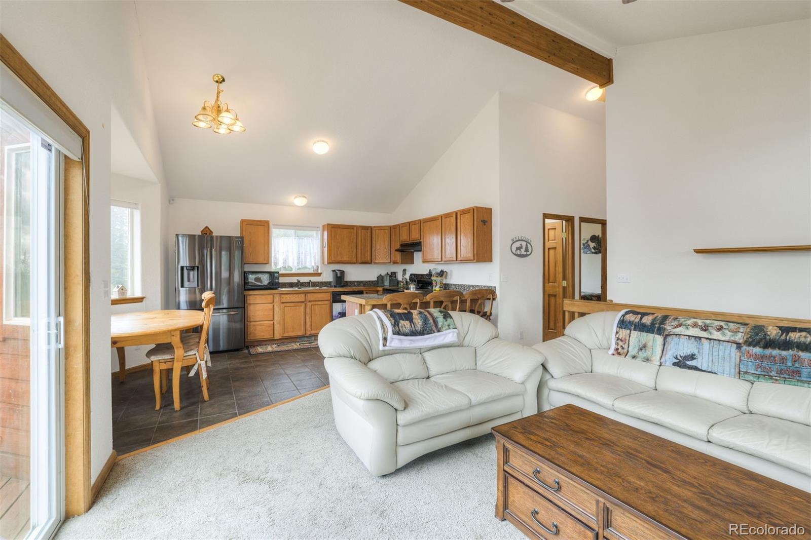 MLS Image #7 for 369  prunes place,fairplay, Colorado