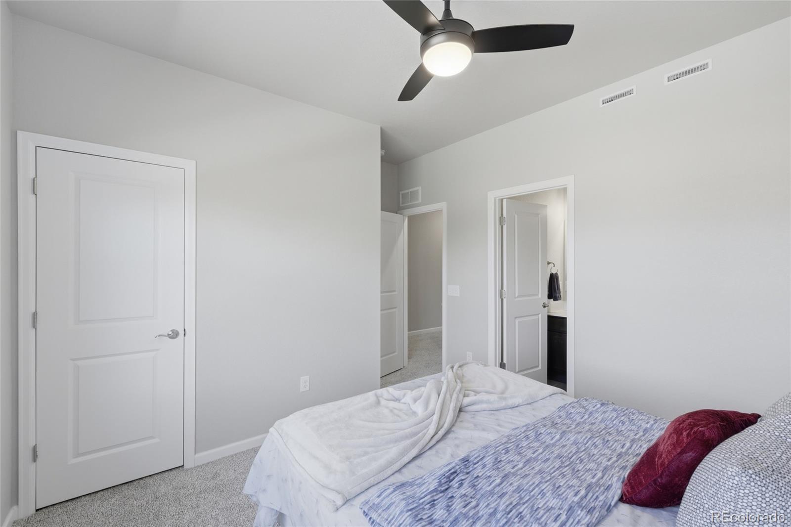 MLS Image #14 for 8434  rizza street,littleton, Colorado