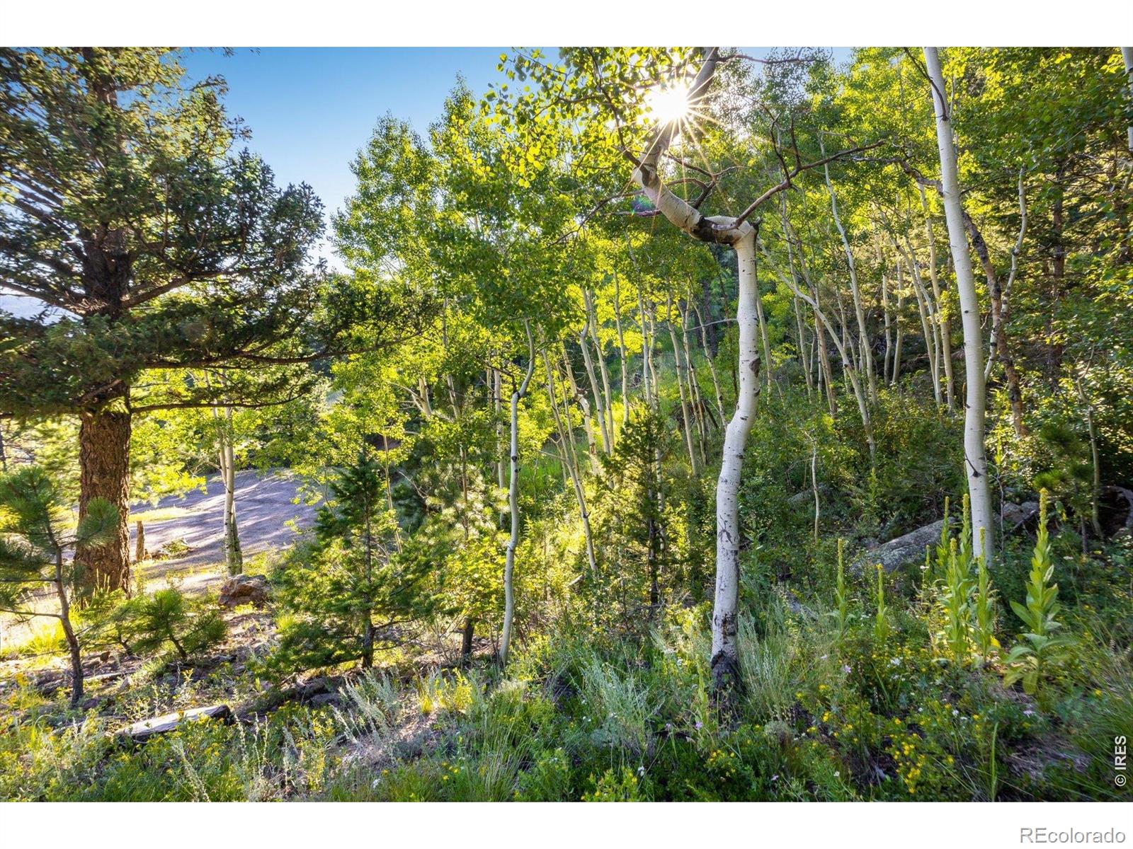 MLS Image #9 for 30153  spruce canyon drive,golden, Colorado