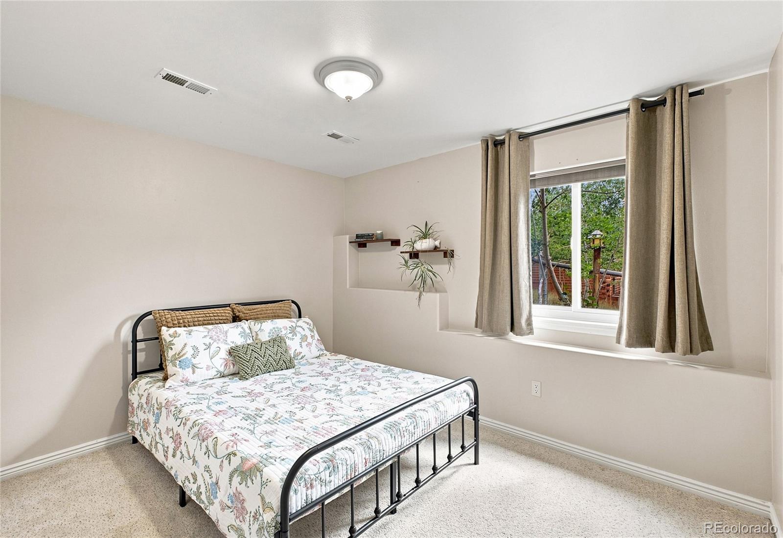 MLS Image #11 for 203  gold flake terrace,bailey, Colorado