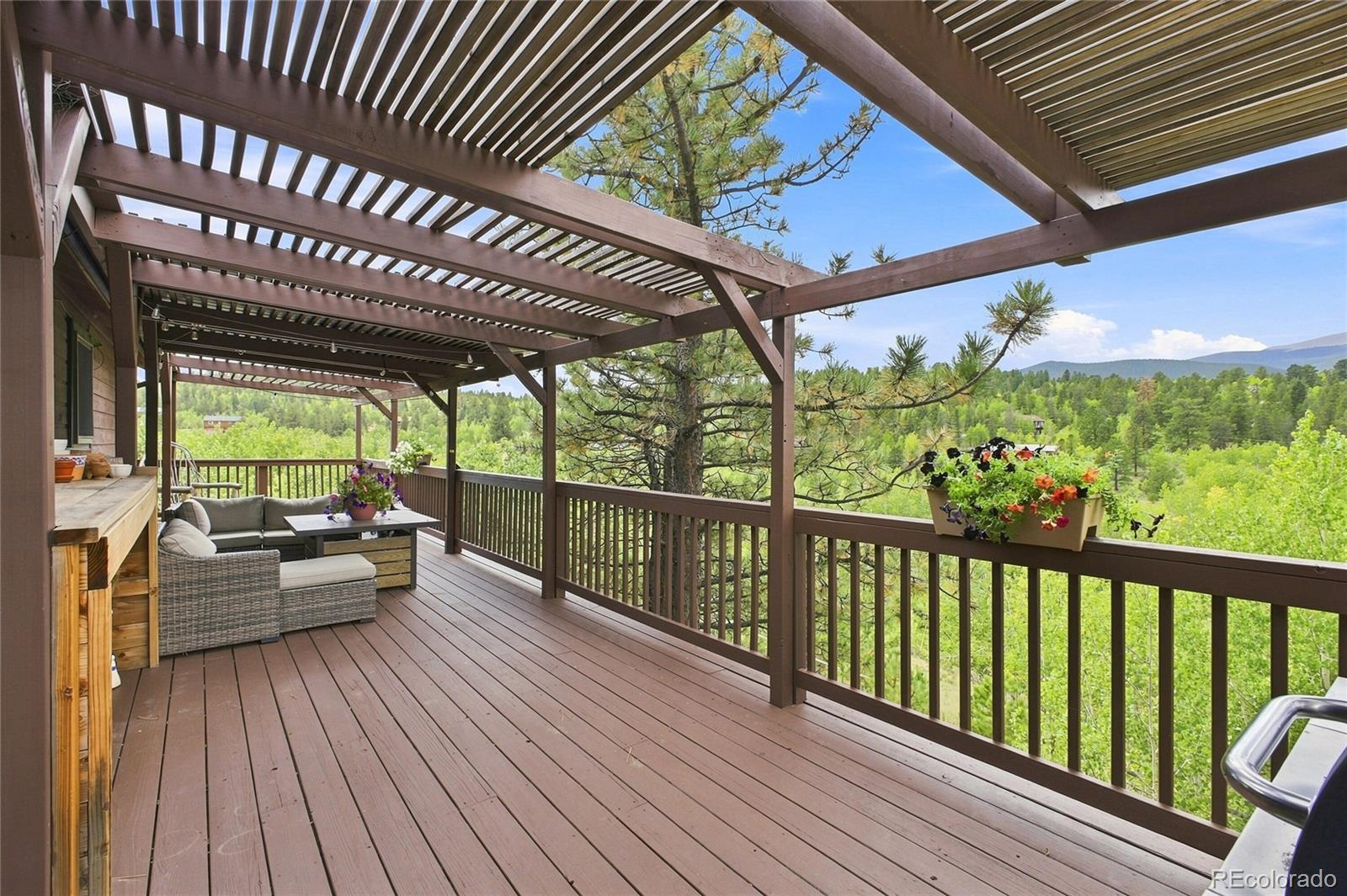 MLS Image #14 for 203  gold flake terrace,bailey, Colorado