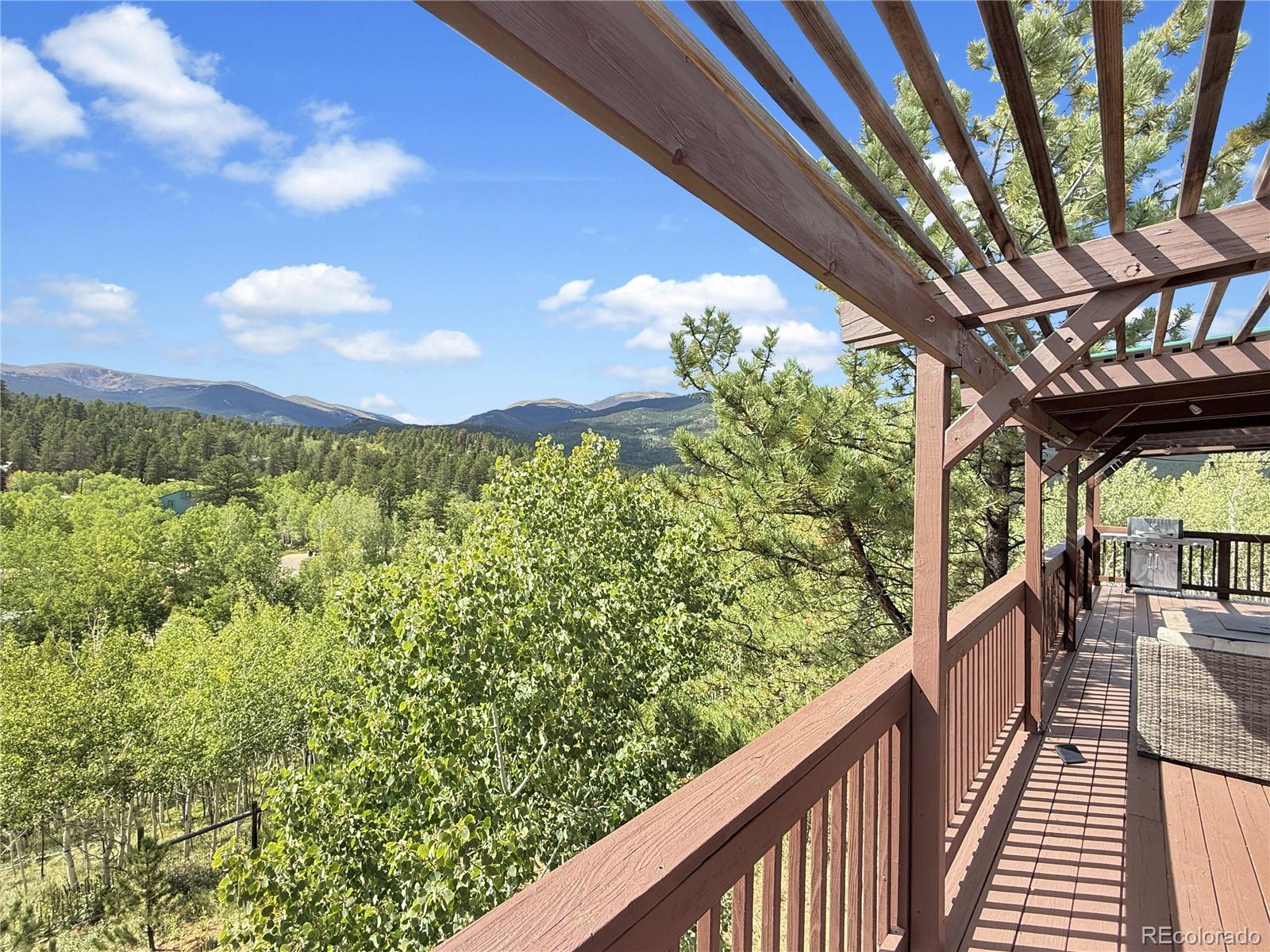 MLS Image #15 for 203  gold flake terrace,bailey, Colorado