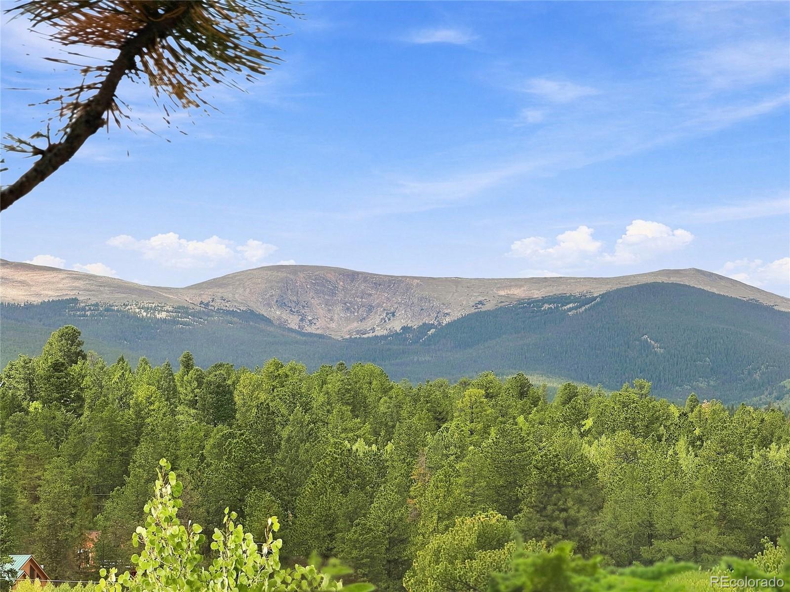 MLS Image #18 for 203  gold flake terrace,bailey, Colorado
