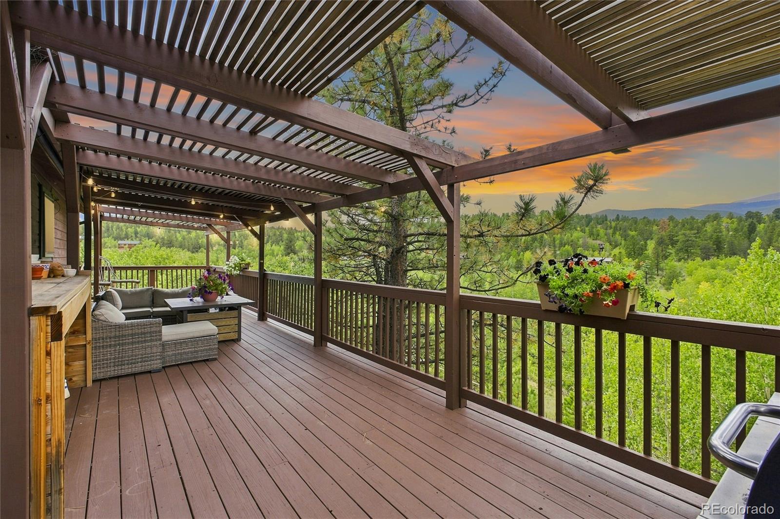MLS Image #3 for 203  gold flake terrace,bailey, Colorado