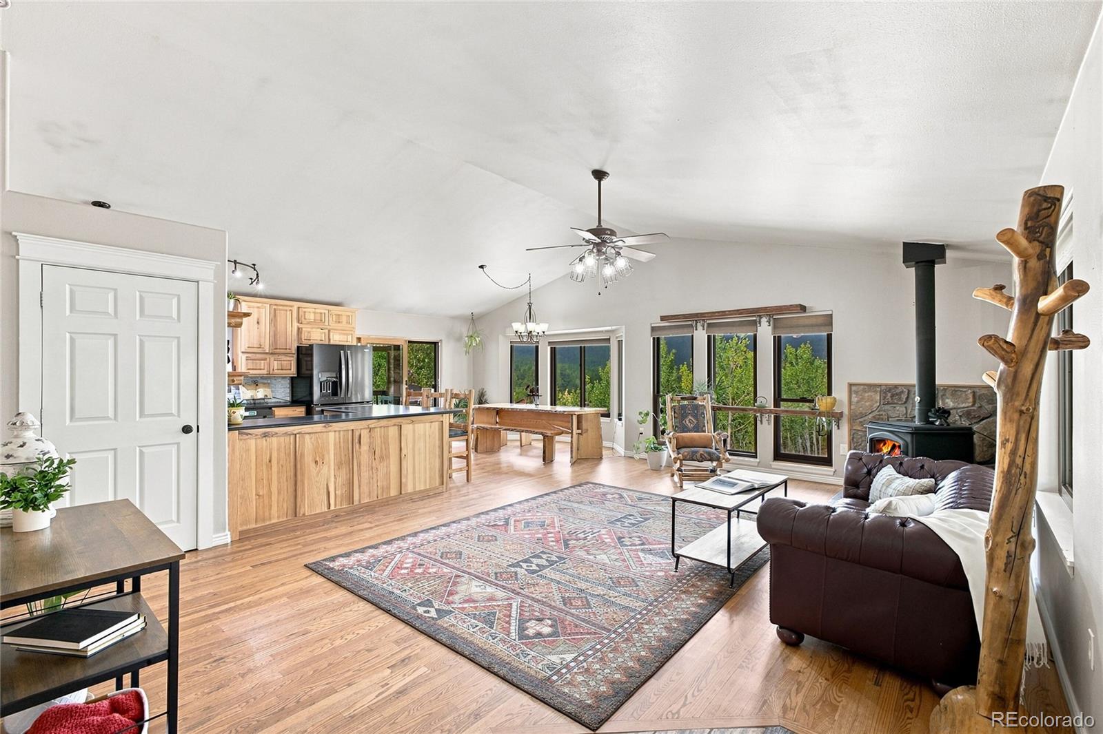 MLS Image #4 for 203  gold flake terrace,bailey, Colorado