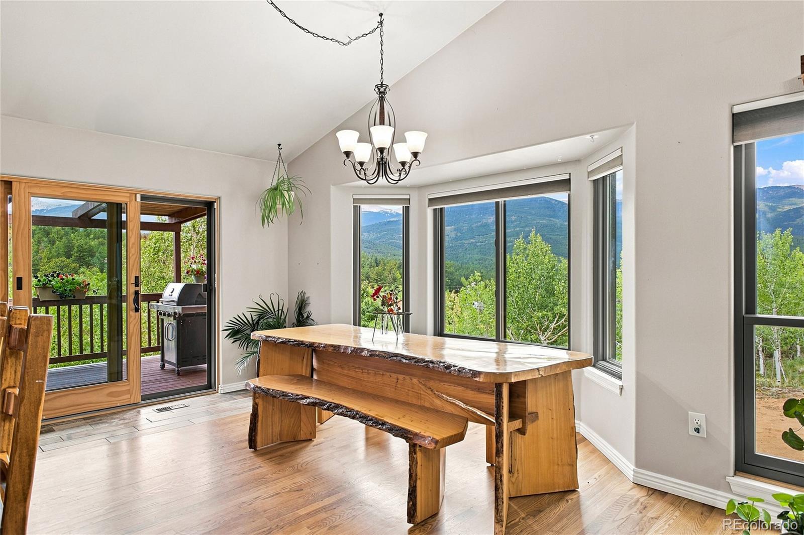 MLS Image #5 for 203  gold flake terrace,bailey, Colorado