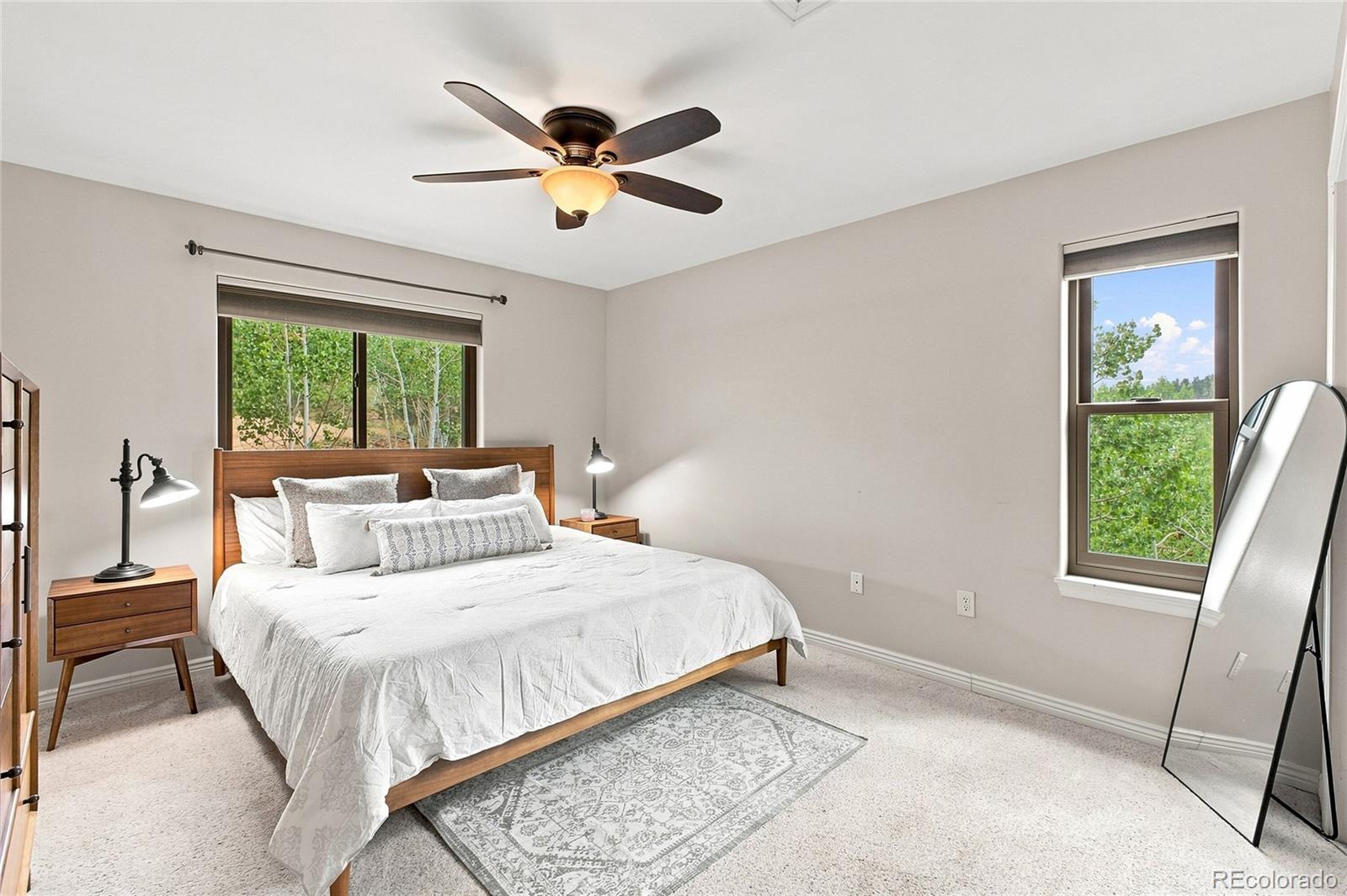 MLS Image #7 for 203  gold flake terrace,bailey, Colorado