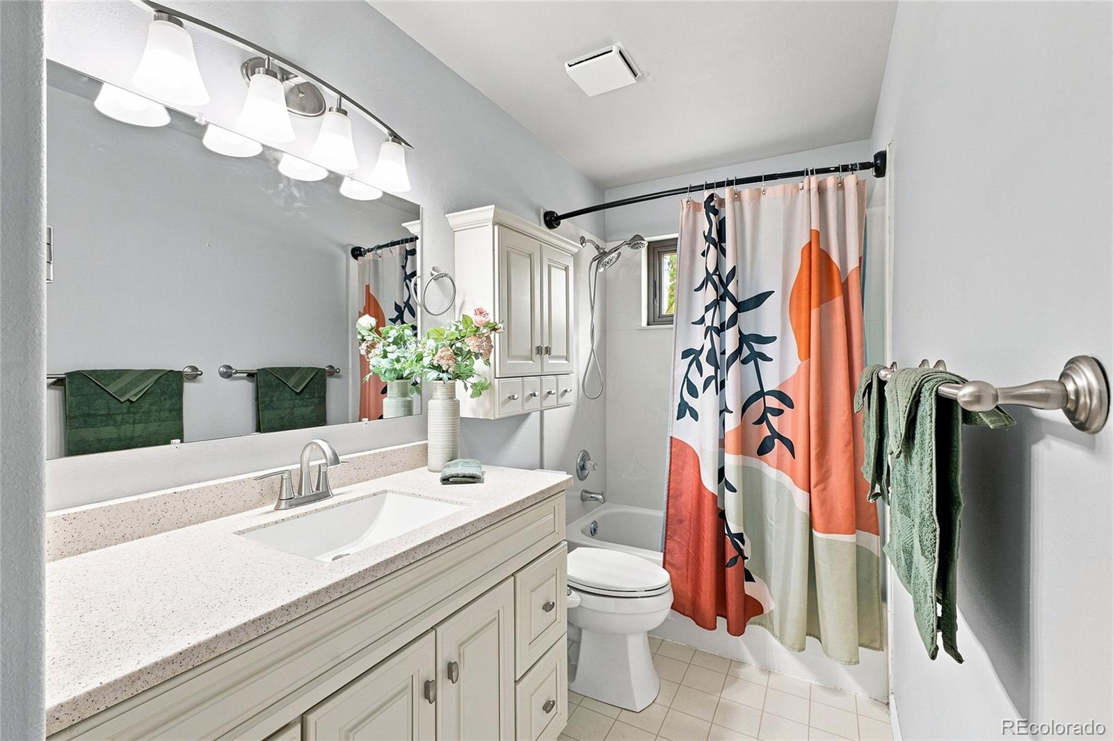 MLS Image #8 for 203  gold flake terrace,bailey, Colorado
