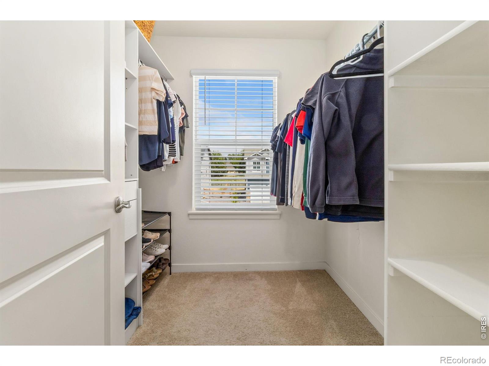 MLS Image #24 for 1809  floating leaf drive,fort collins, Colorado