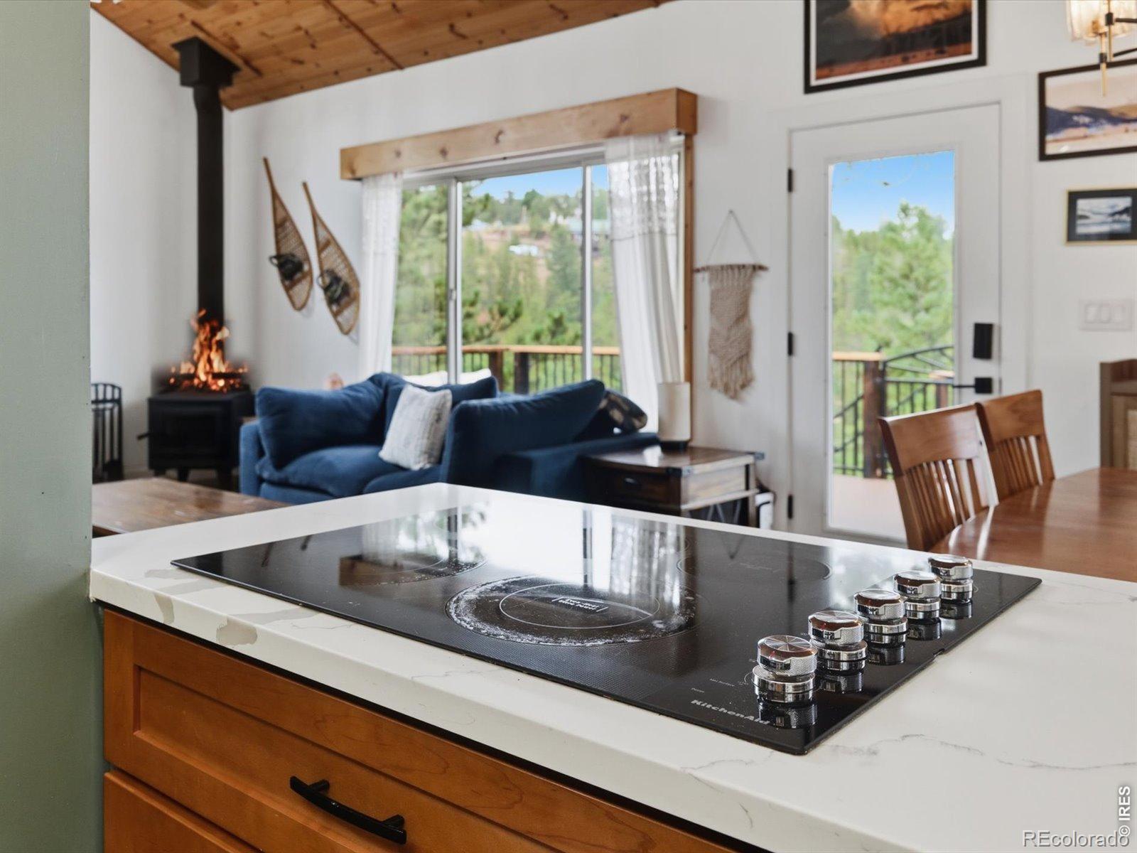 MLS Image #10 for 230  alpine drive,nederland, Colorado