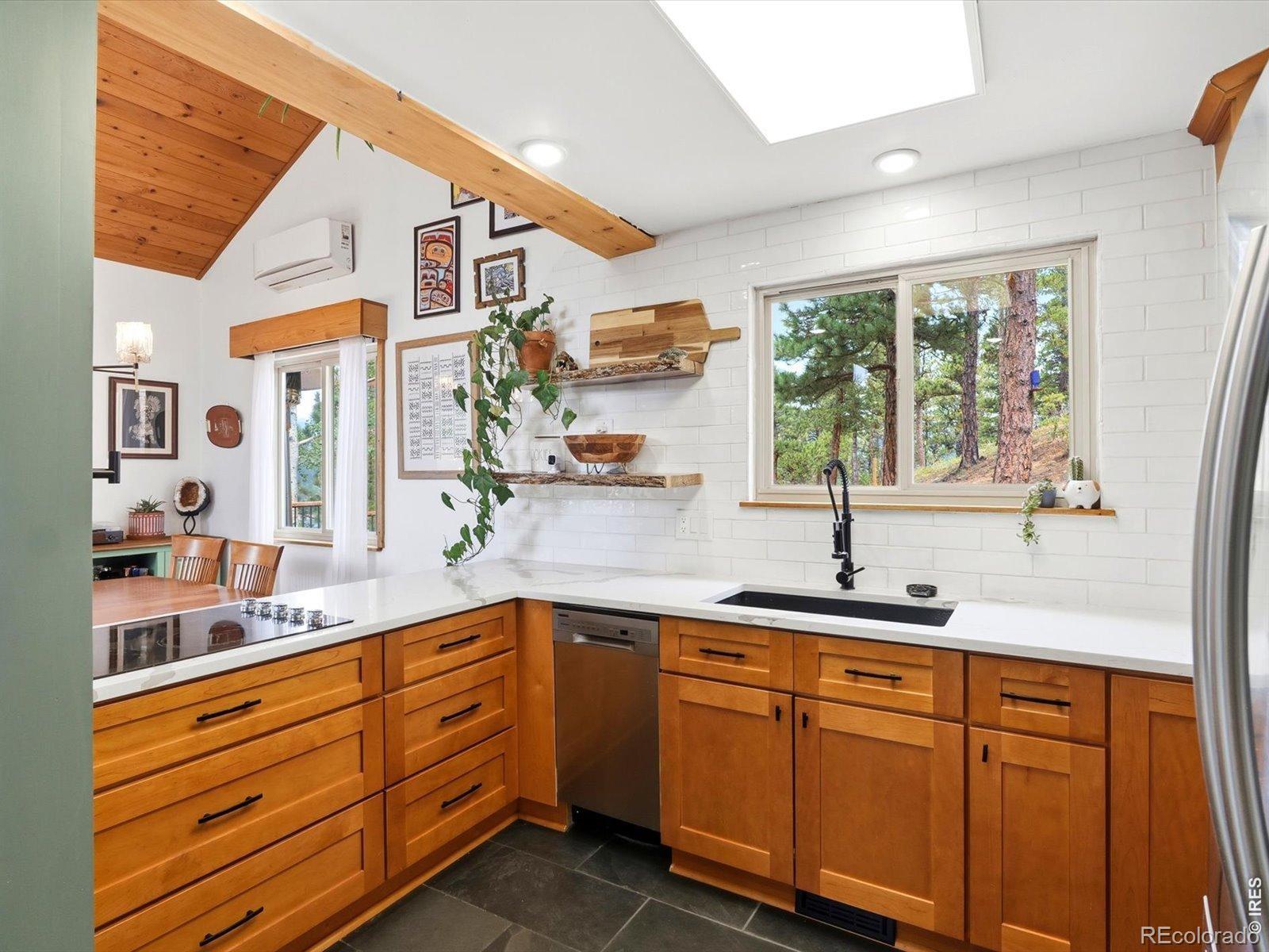 MLS Image #9 for 230  alpine drive,nederland, Colorado