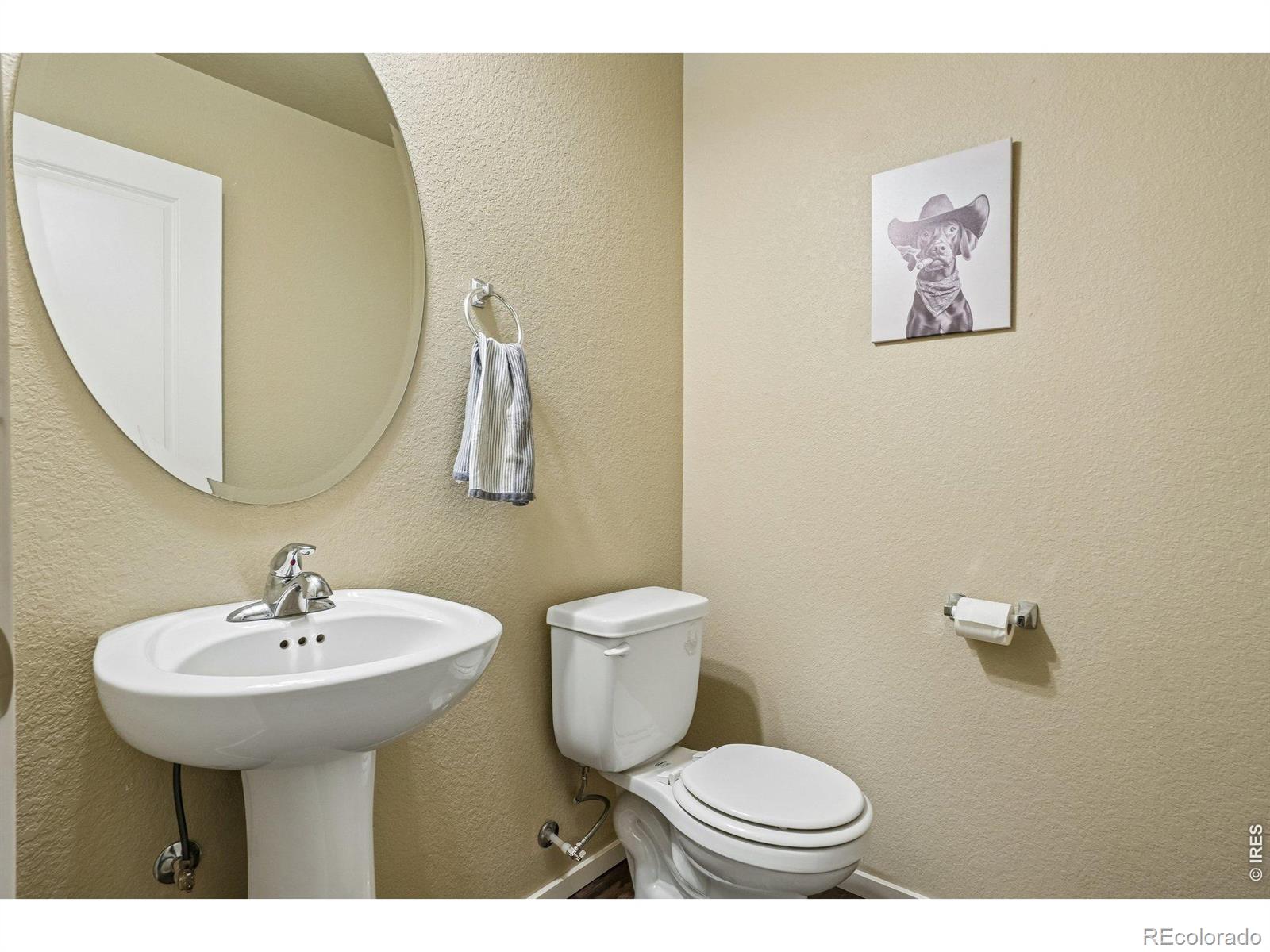 MLS Image #14 for 387  sour street,fort collins, Colorado