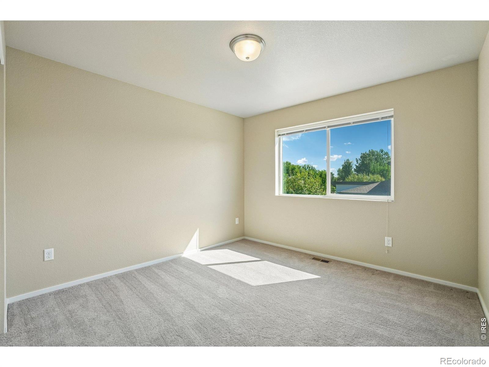 MLS Image #20 for 387  sour street,fort collins, Colorado
