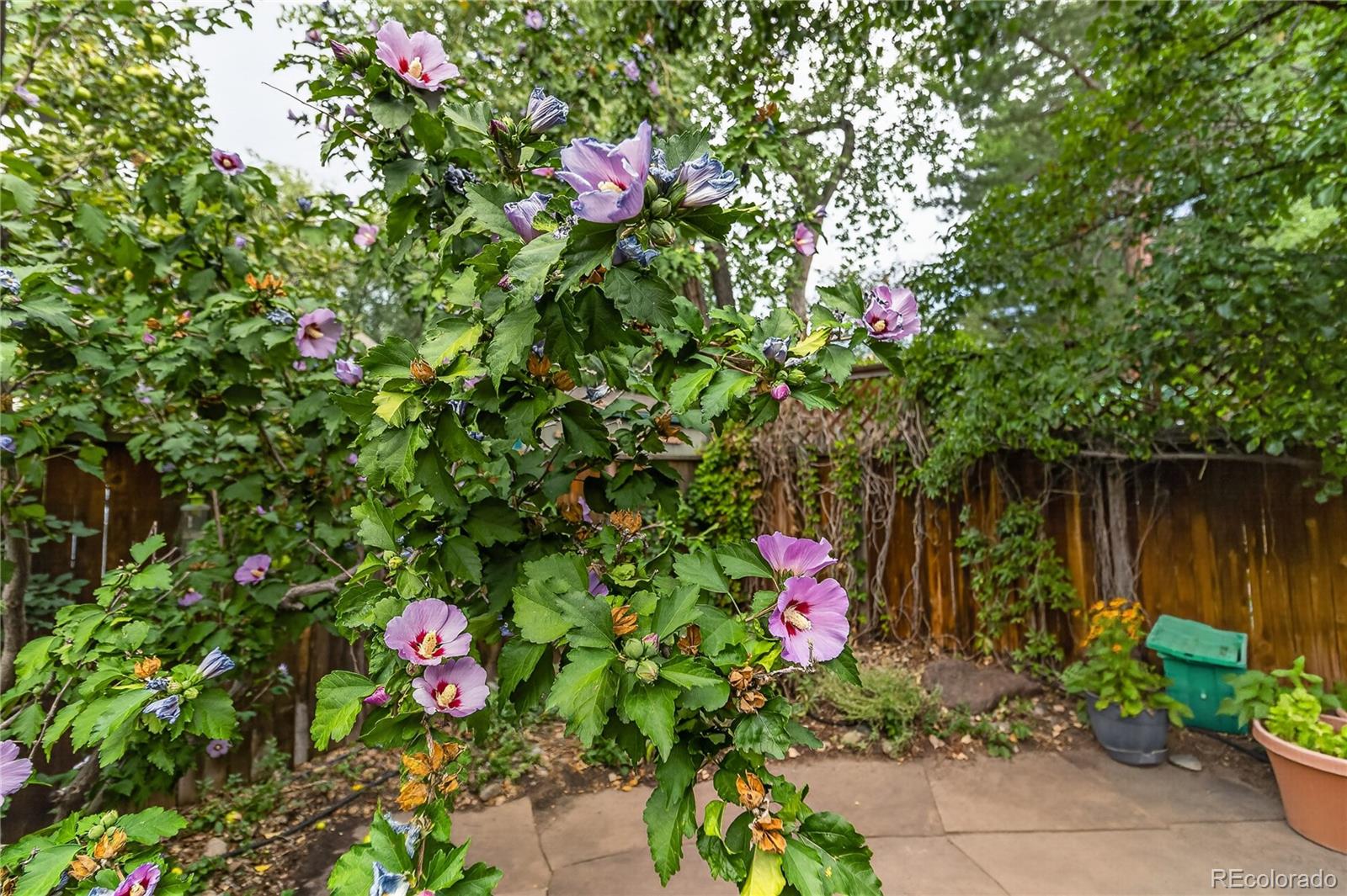 MLS Image #32 for 1120  poplar avenue,boulder, Colorado