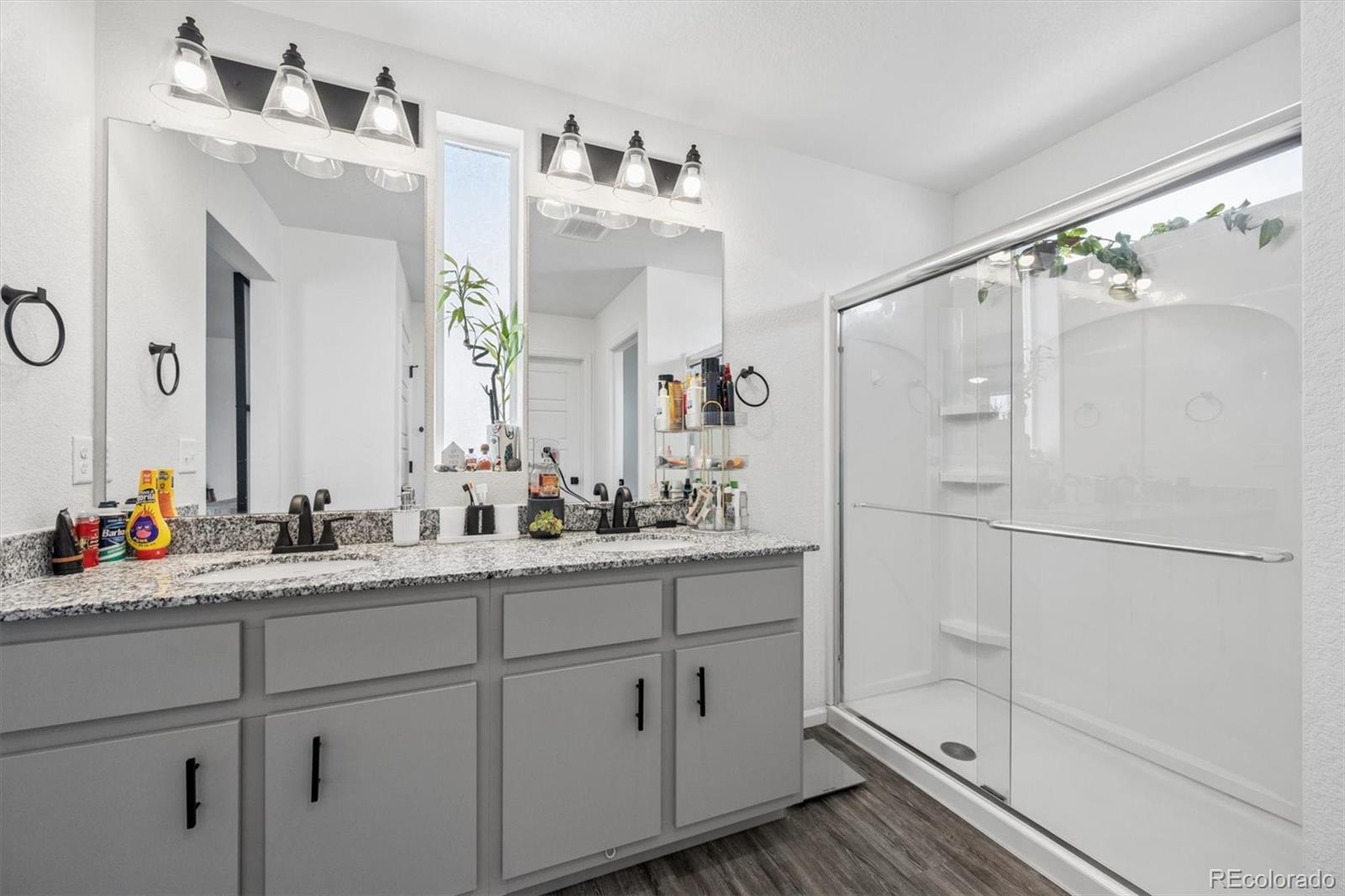 MLS Image #11 for 18222 e 51st place,denver, Colorado