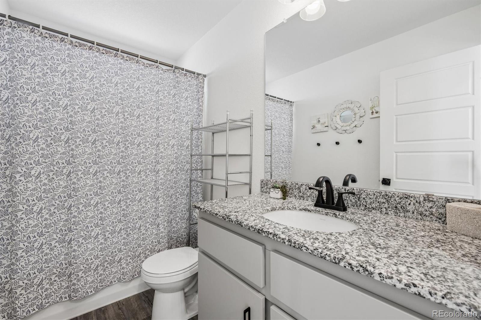 MLS Image #13 for 18222 e 51st place,denver, Colorado