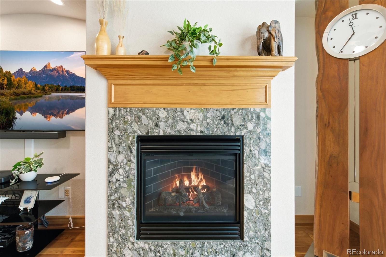 MLS Image #20 for 9776 s johnson court,littleton, Colorado