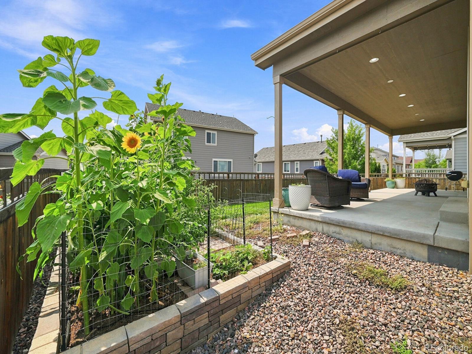 MLS Image #42 for 6500  agave avenue,castle rock, Colorado